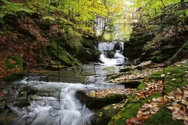Nature jigsaw puzzle