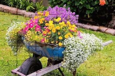 flores