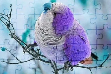natural jigsaw puzzle