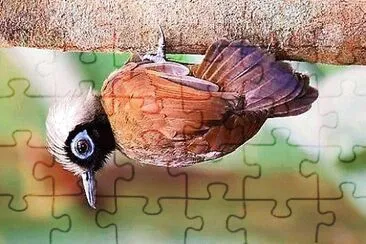 natural jigsaw puzzle