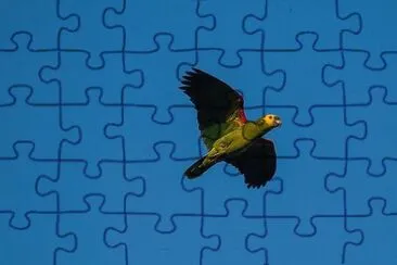 natural jigsaw puzzle