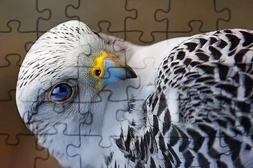 natural jigsaw puzzle