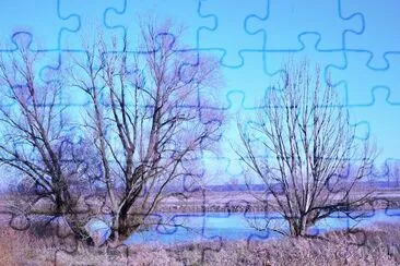 Nature jigsaw puzzle