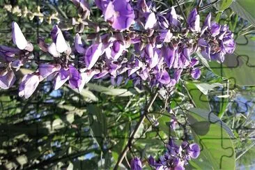 flores jigsaw puzzle