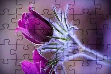 flores jigsaw puzzle
