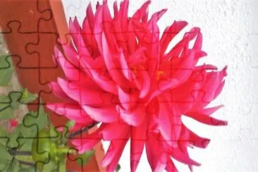 flores jigsaw puzzle