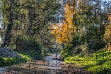 Nature jigsaw puzzle
