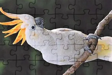 natural jigsaw puzzle