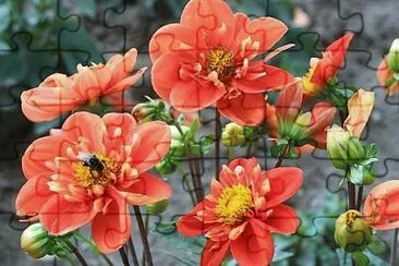 flores jigsaw puzzle