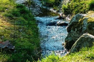 Nature jigsaw puzzle