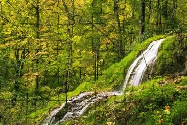 Nature jigsaw puzzle