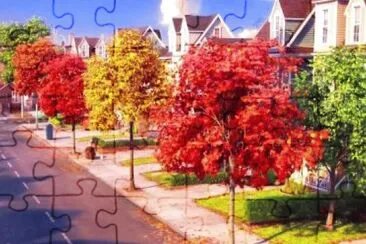 Rua jigsaw puzzle