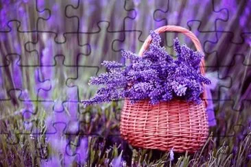 פאזל של flores