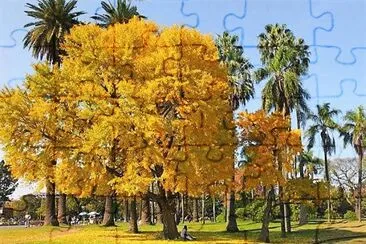 flores jigsaw puzzle