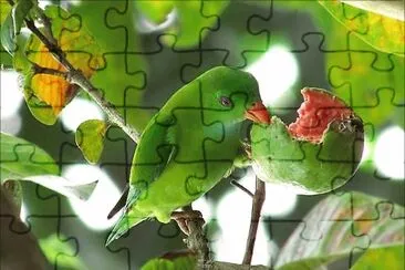 natural jigsaw puzzle