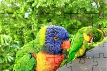 natural jigsaw puzzle