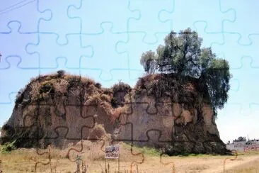 Ãrbol en Cholula, Puebla. jigsaw puzzle