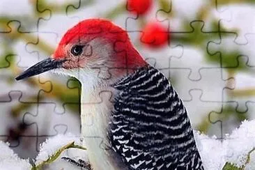 natural jigsaw puzzle