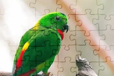natural jigsaw puzzle