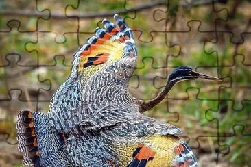 natural jigsaw puzzle