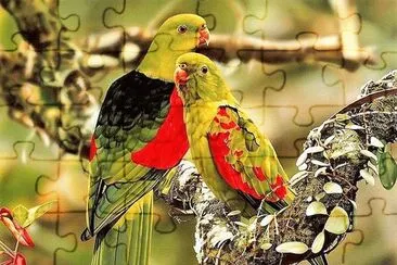 natural jigsaw puzzle