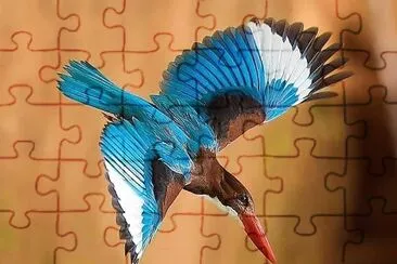 natural jigsaw puzzle