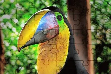 natural jigsaw puzzle