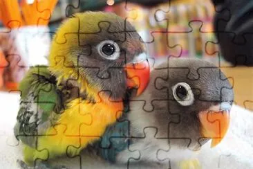 natural jigsaw puzzle