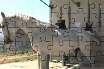 Kagoshina jigsaw puzzle