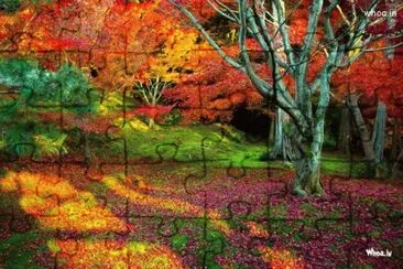 Nature jigsaw puzzle