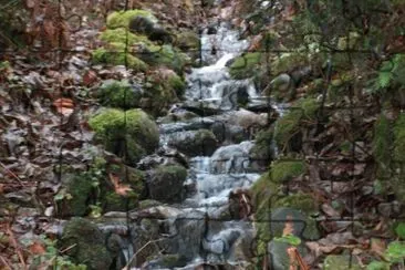 OUTDOOR NATURE