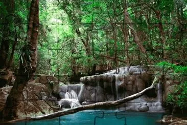 Nature jigsaw puzzle