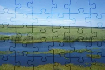 Nature jigsaw puzzle