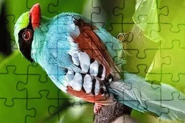 פאזל של natural