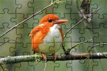 פאזל של natural