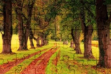 Nature jigsaw puzzle