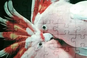 natural jigsaw puzzle