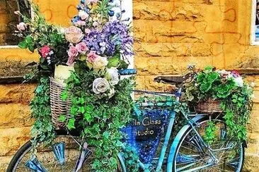 flores