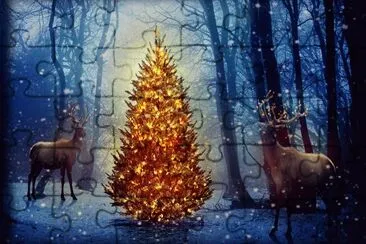 Natal jigsaw puzzle