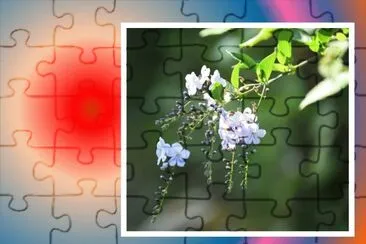 èŠ± jigsaw puzzle