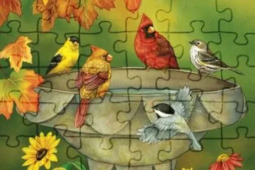 birds