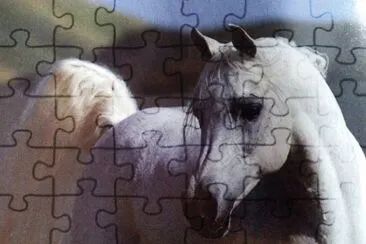 arabian jigsaw puzzle