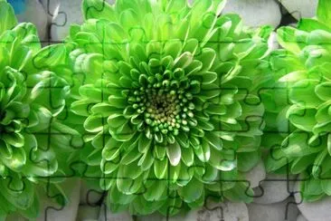 Fleur verte