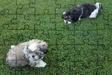 Doggy y Aiko jigsaw puzzle