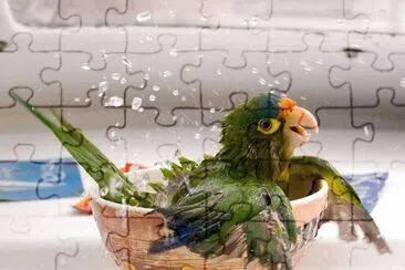 natural jigsaw puzzle