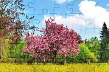 פאזל של flores