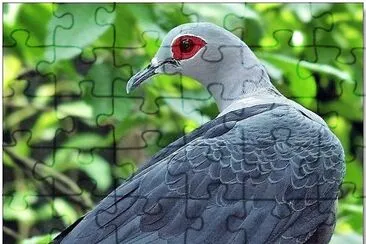 natural jigsaw puzzle