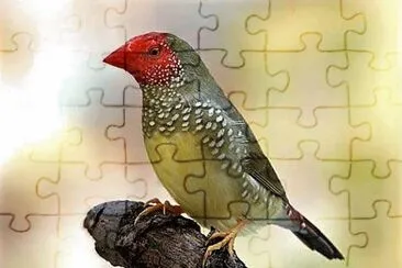 natural jigsaw puzzle