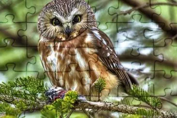 natural jigsaw puzzle