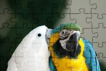 natural jigsaw puzzle
